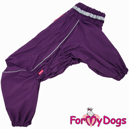 Afbeeldingen van ForMyDogs  TDSS0068/3-2024 F