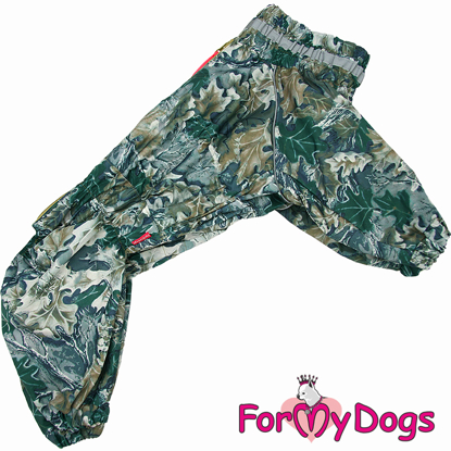 Afbeeldingen van ForMyDogs  TDSS0113/3-2025 F